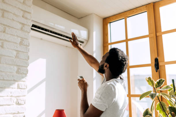 Best Local HVAC companies  in Wild Peach Village, TX